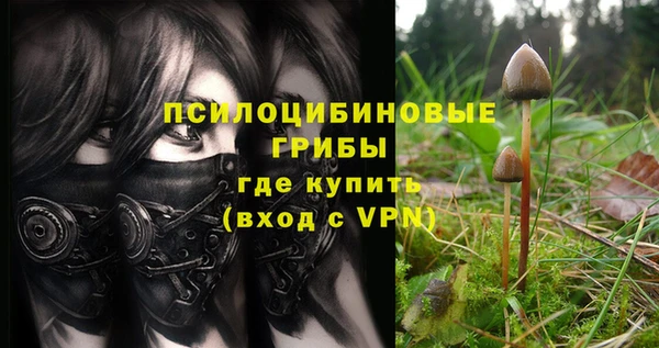 ПСИЛОЦИБИНОВЫЕ ГРИБЫ Шали