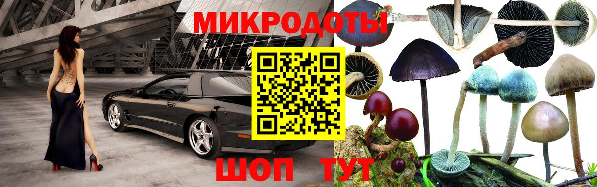 Галлюциногенные грибы Psilocybine cubensis Лысьва