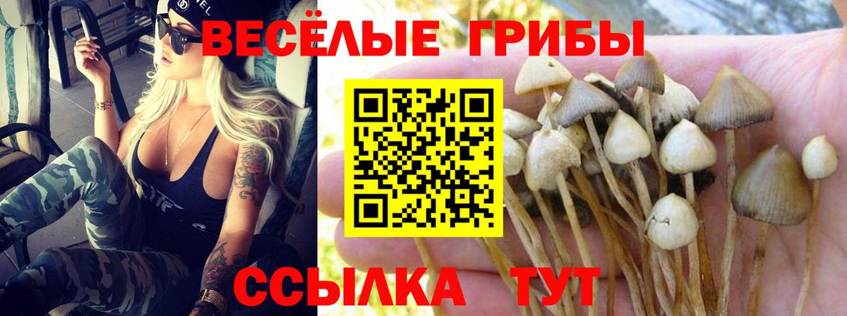 Псилоцибиновые грибы GOLDEN TEACHER  Вход с VPN  Лысьва  Галлюциногенные грибы мухоморы 